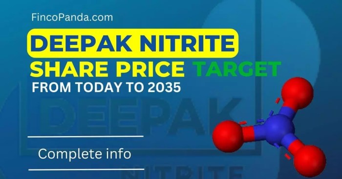Deepak Nitrite Share Price Target 2024, 2025, 2027, 2030, 2035 (Long ...